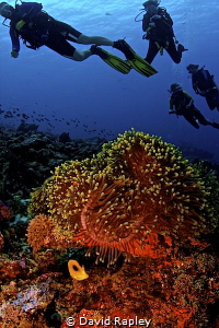 An opportunity to take a second to see the buddy system i... by David Rapley 